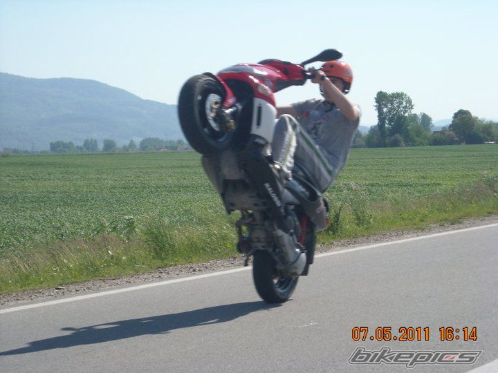 Photo 2206340