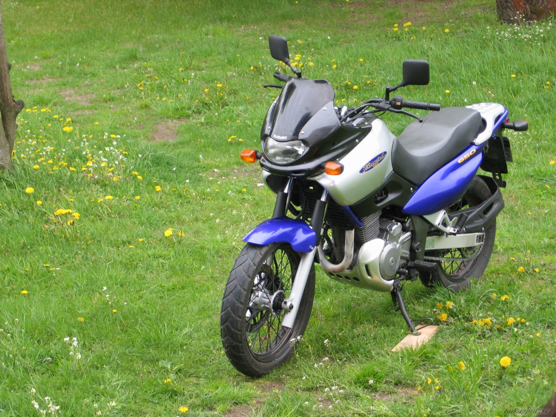 Photo 2206345