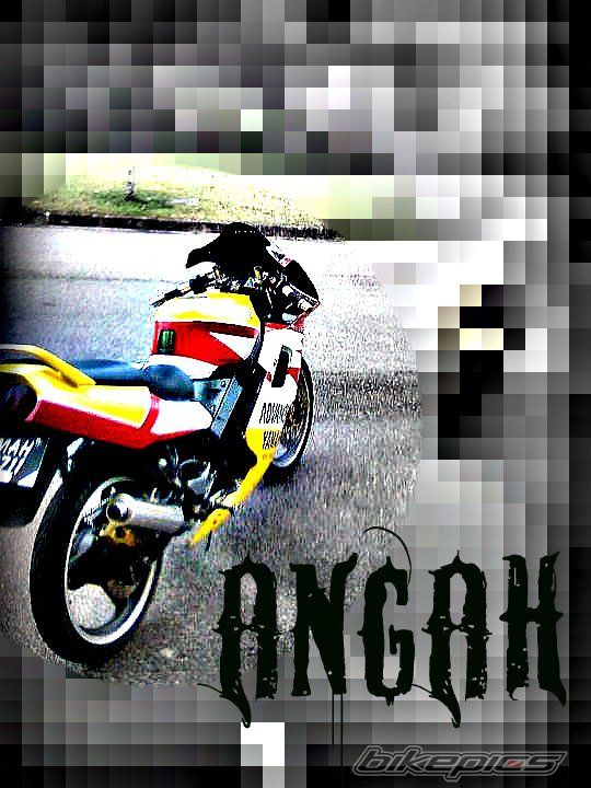 Photo 2206375