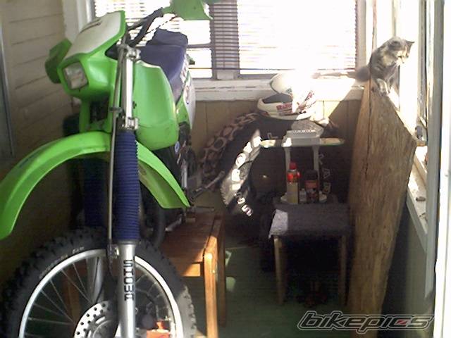 Photo 22064