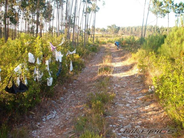 Photo 220641