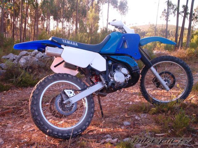 Photo 220643