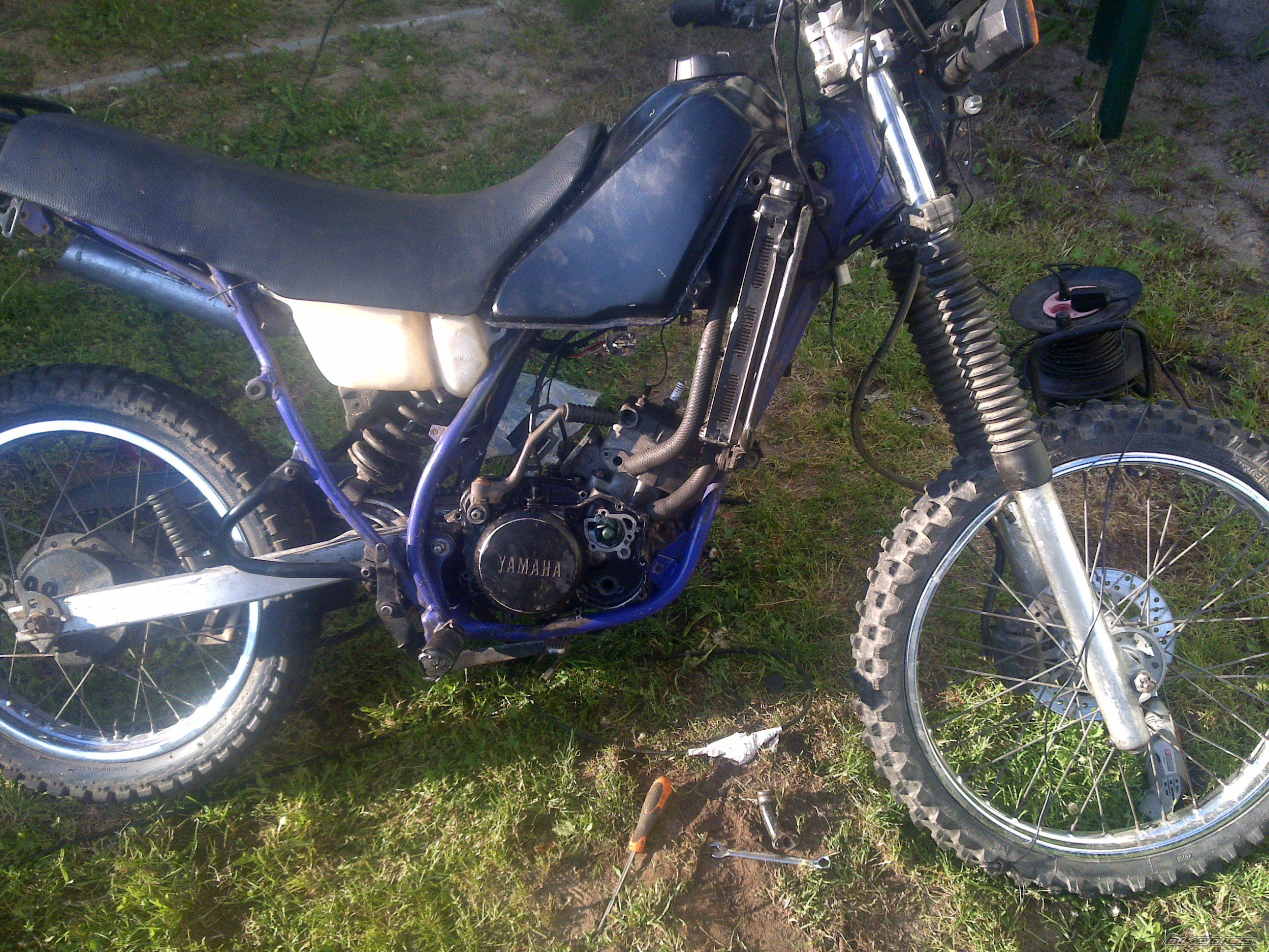 Photo 2206483