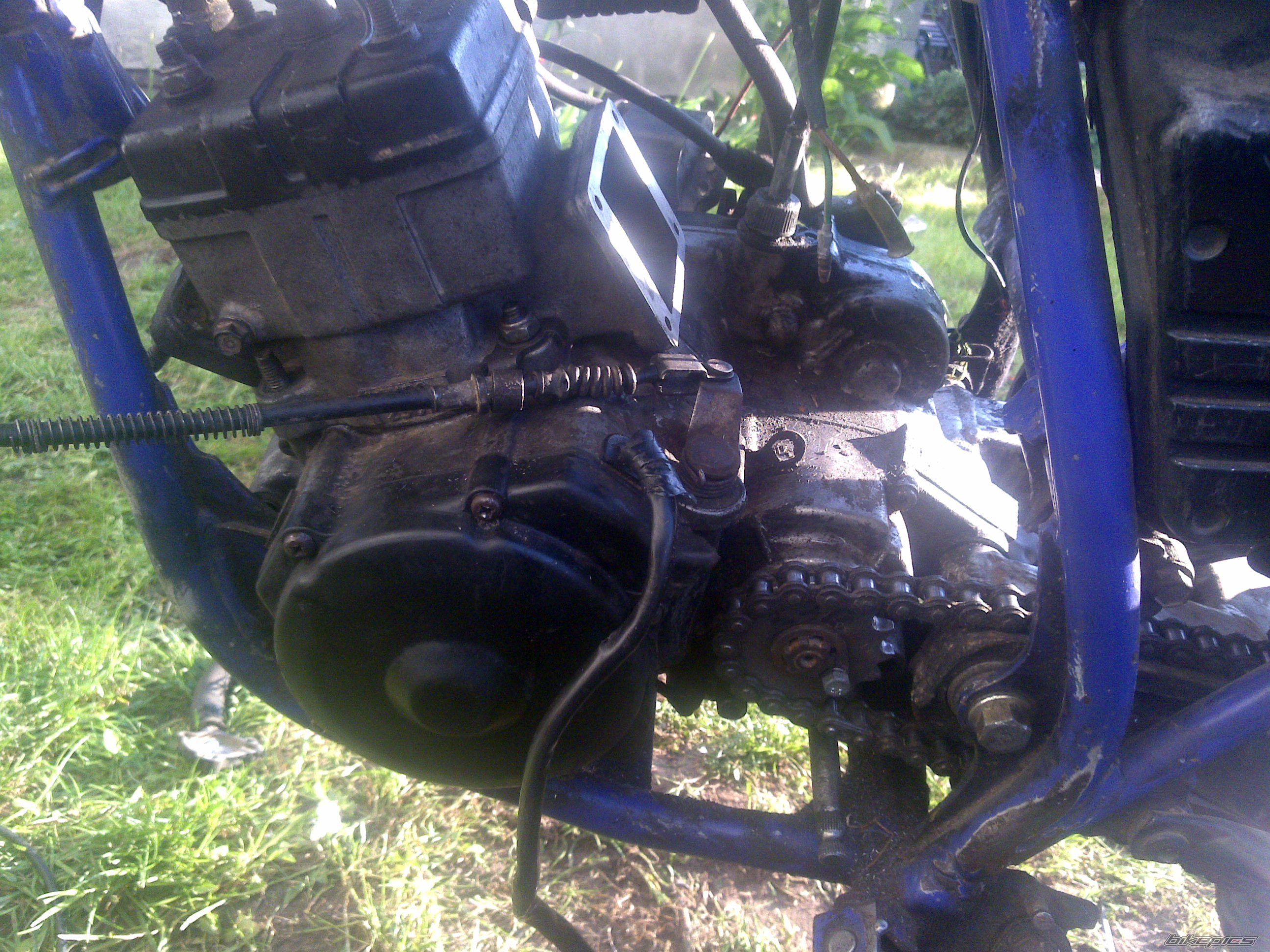 Photo 2206484