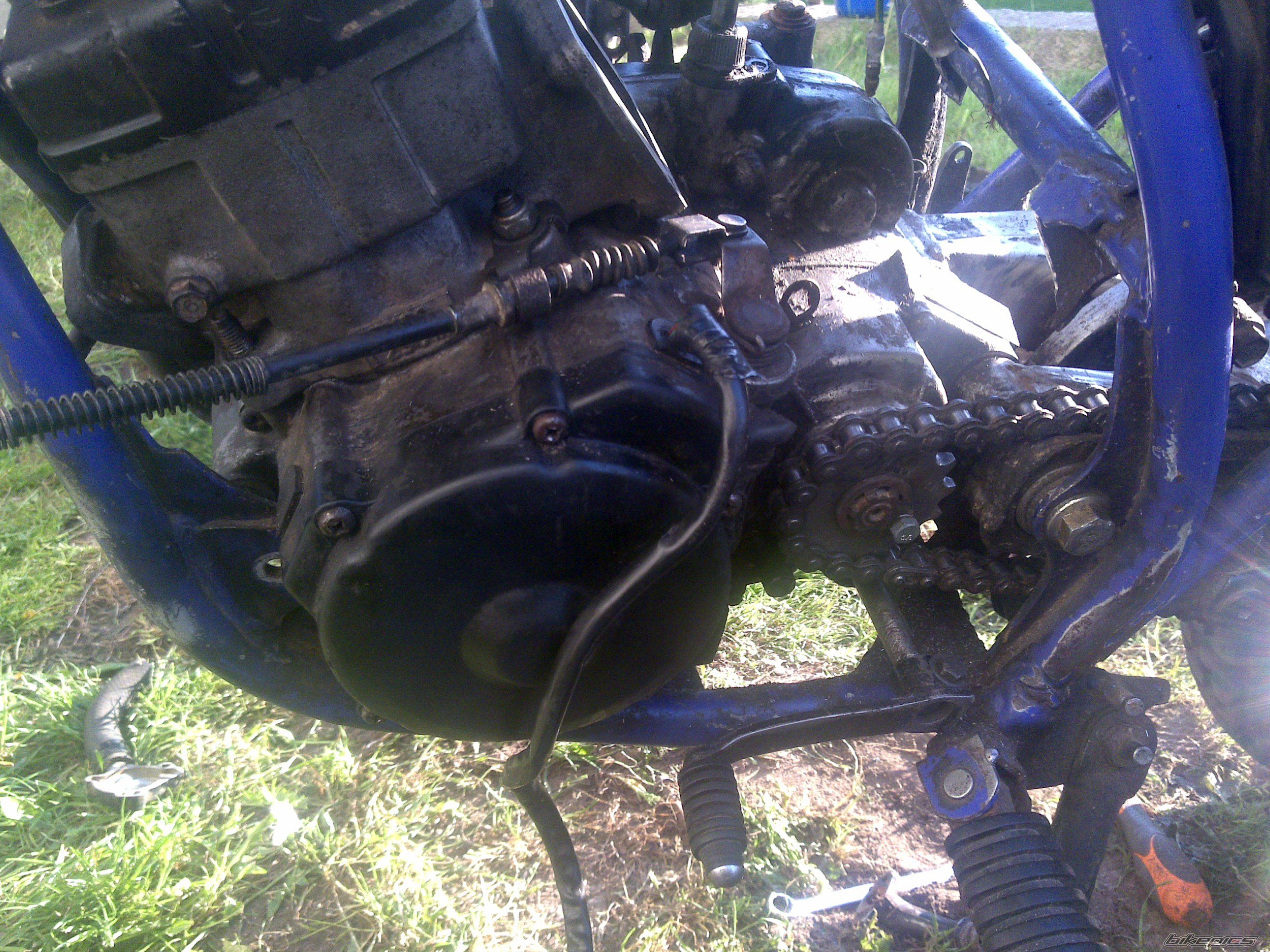 Photo 2206490
