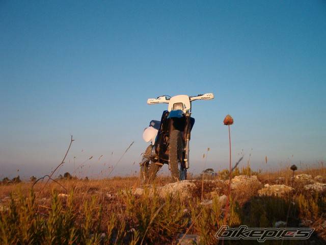 Photo 220654