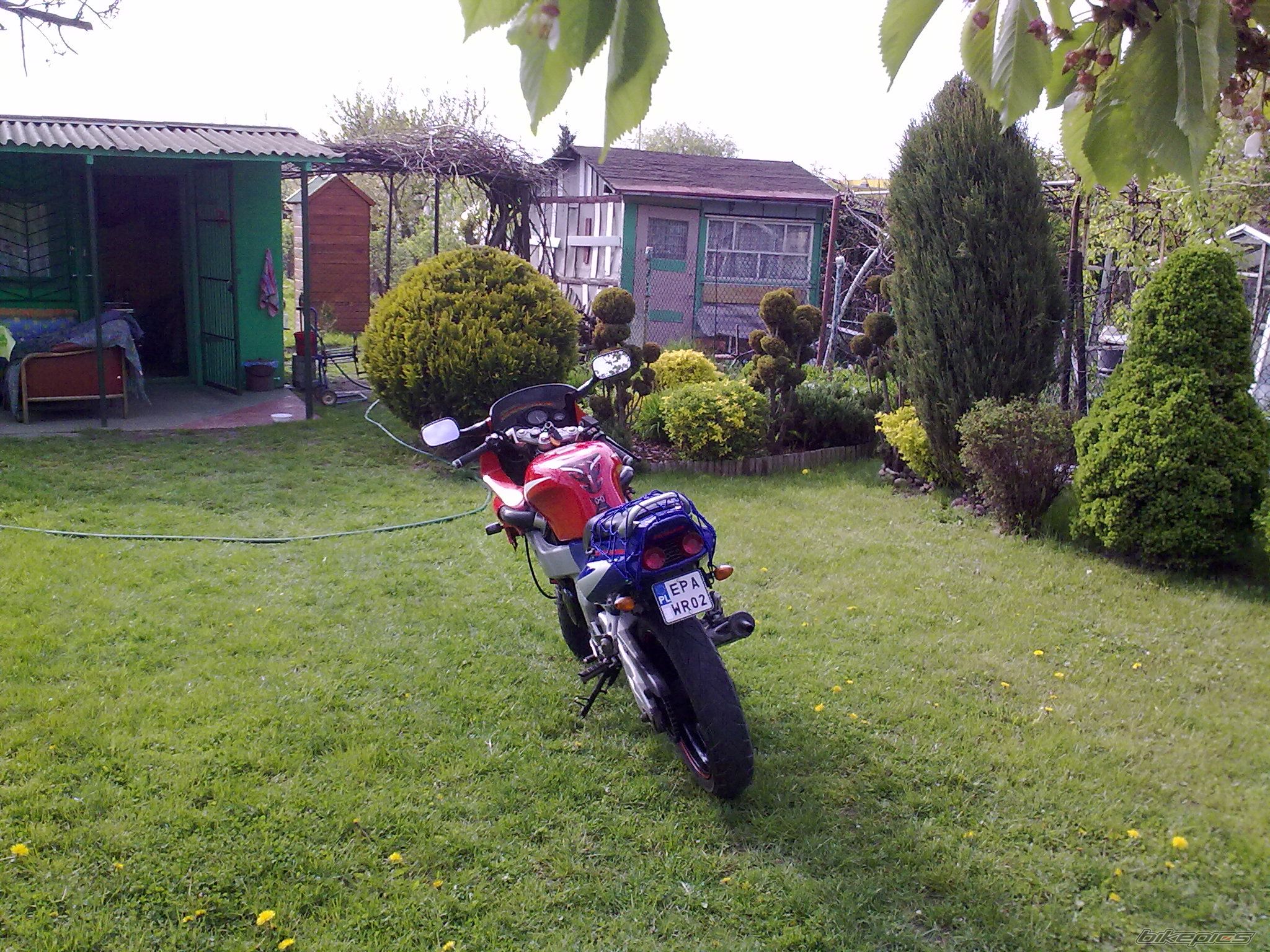 Photo 2206549