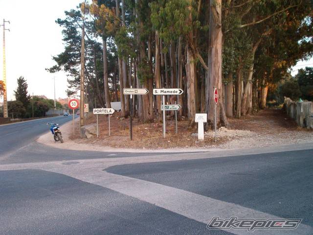 Photo 220661