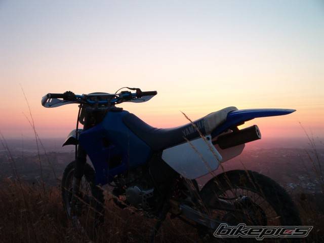 Photo 220662