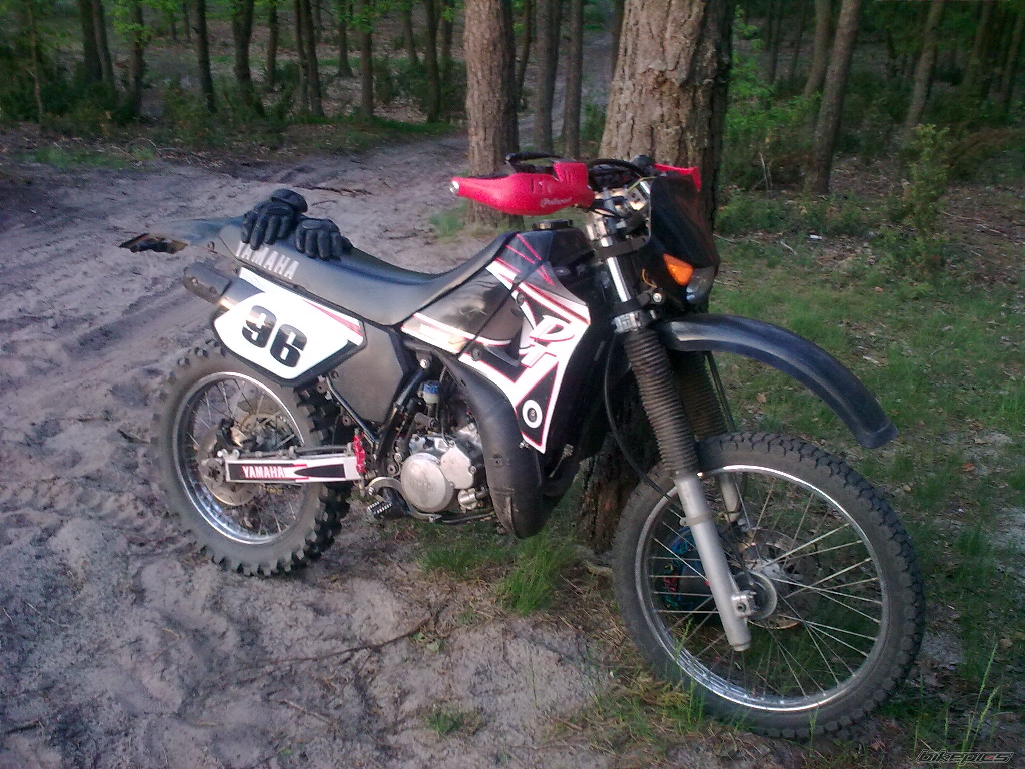 Photo 2206630