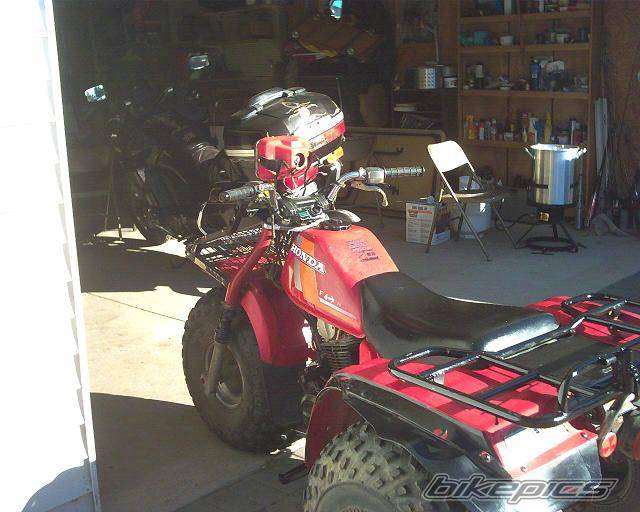 Photo 220664