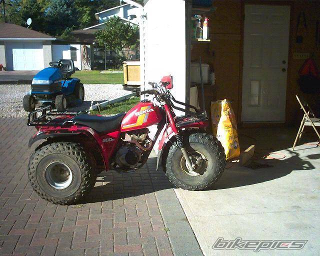 Photo 220665