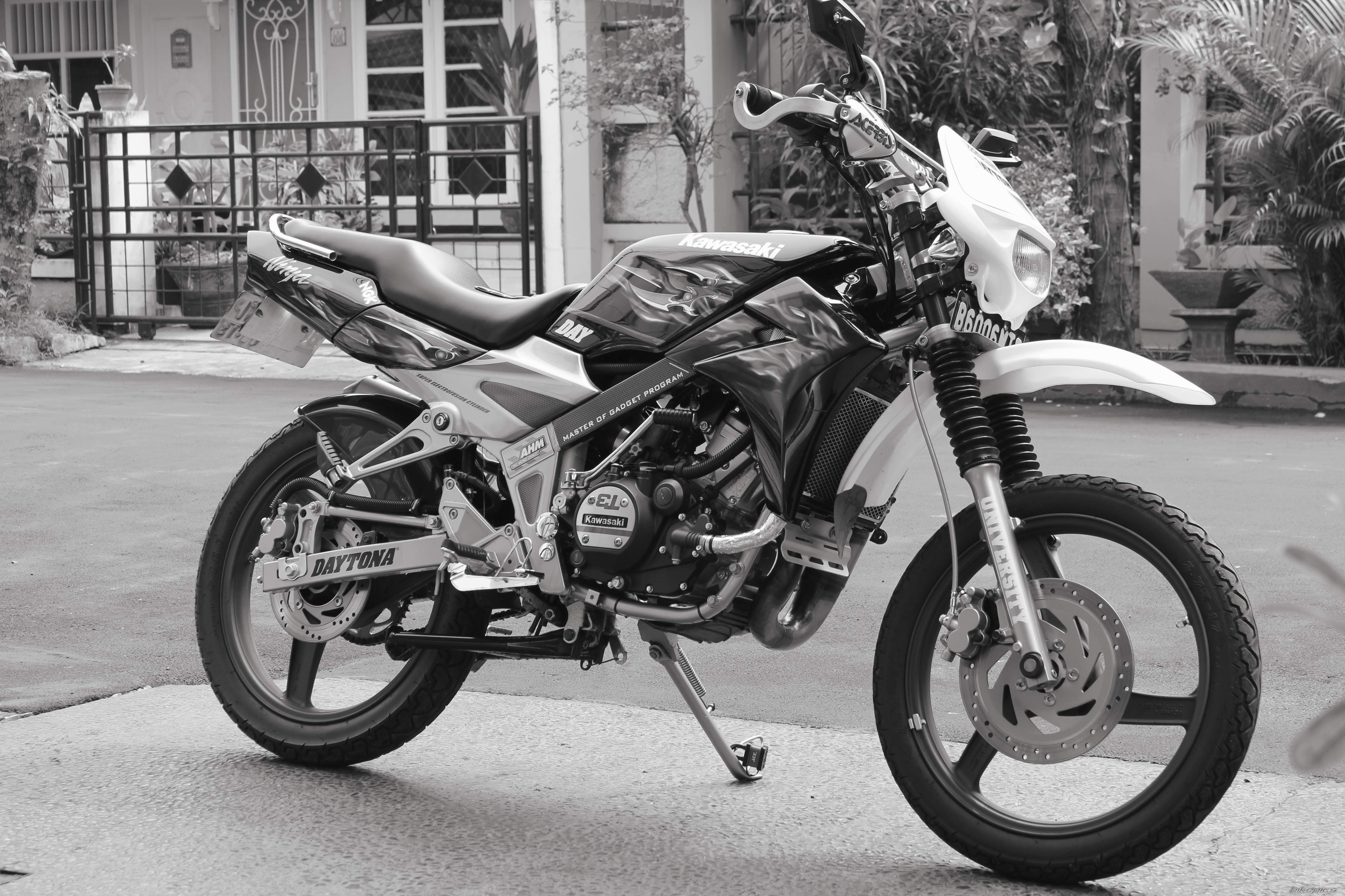 Photo 2206699
