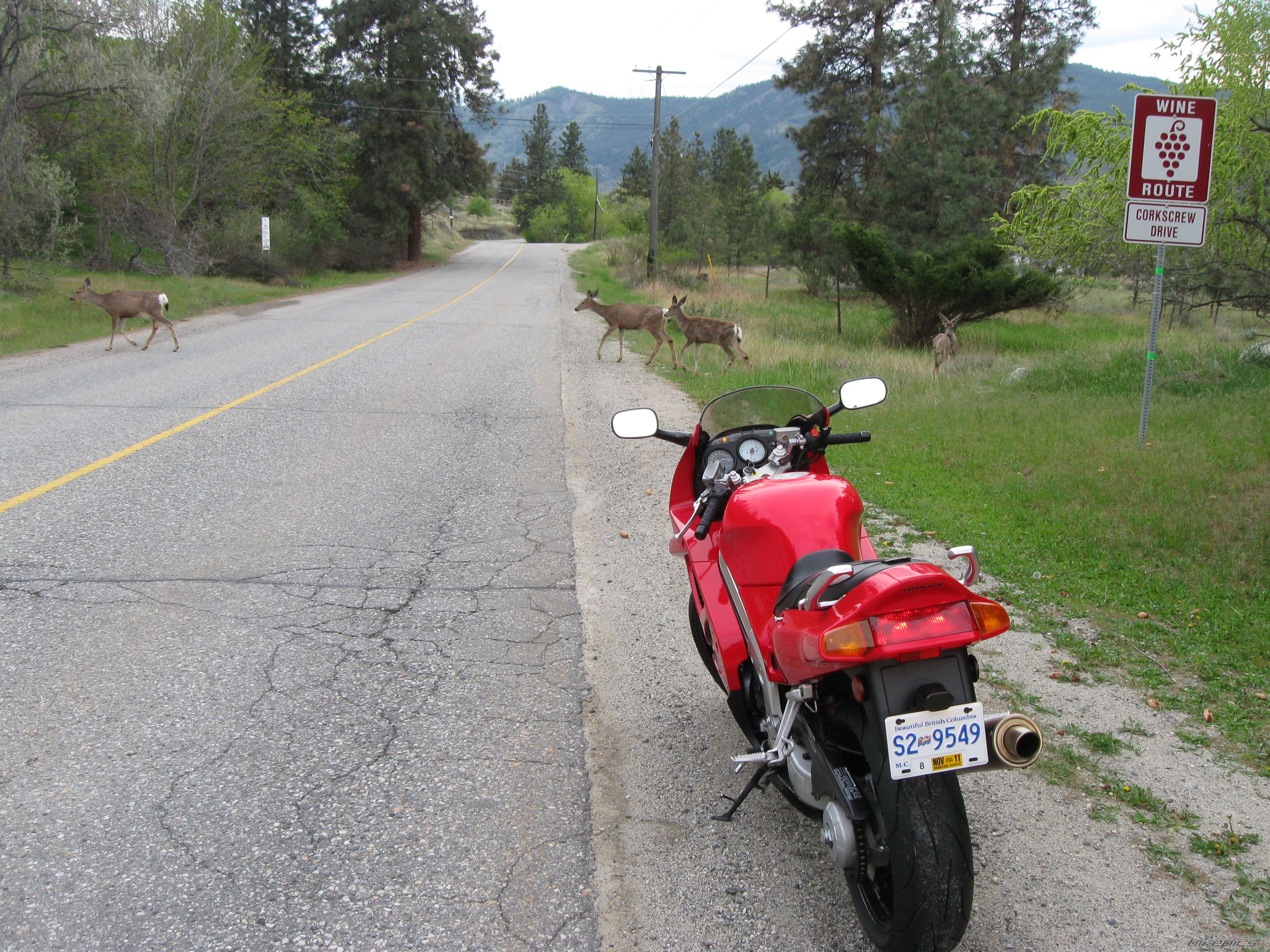 Photo 2206728