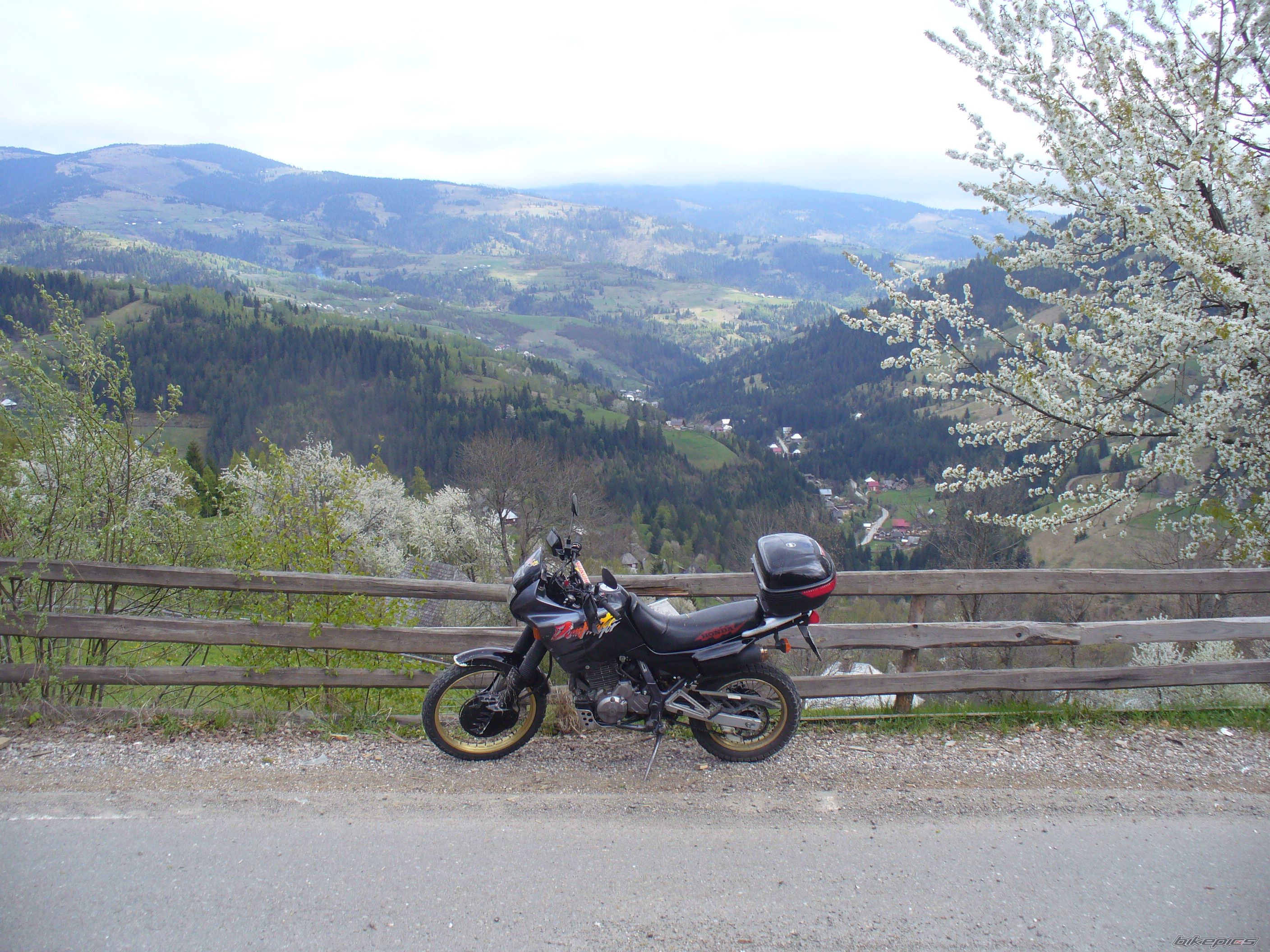 Photo 2206883