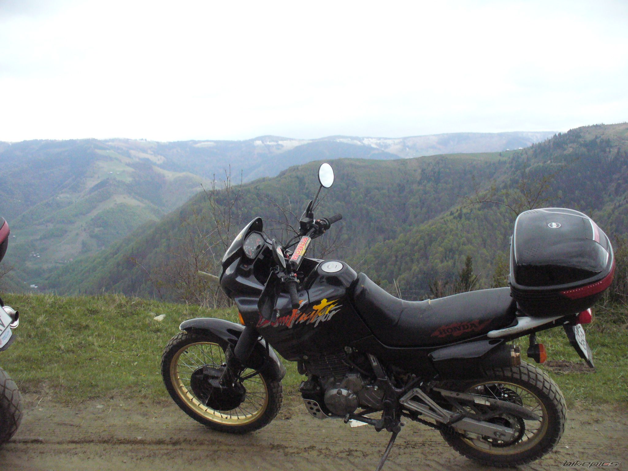 Photo 2206888