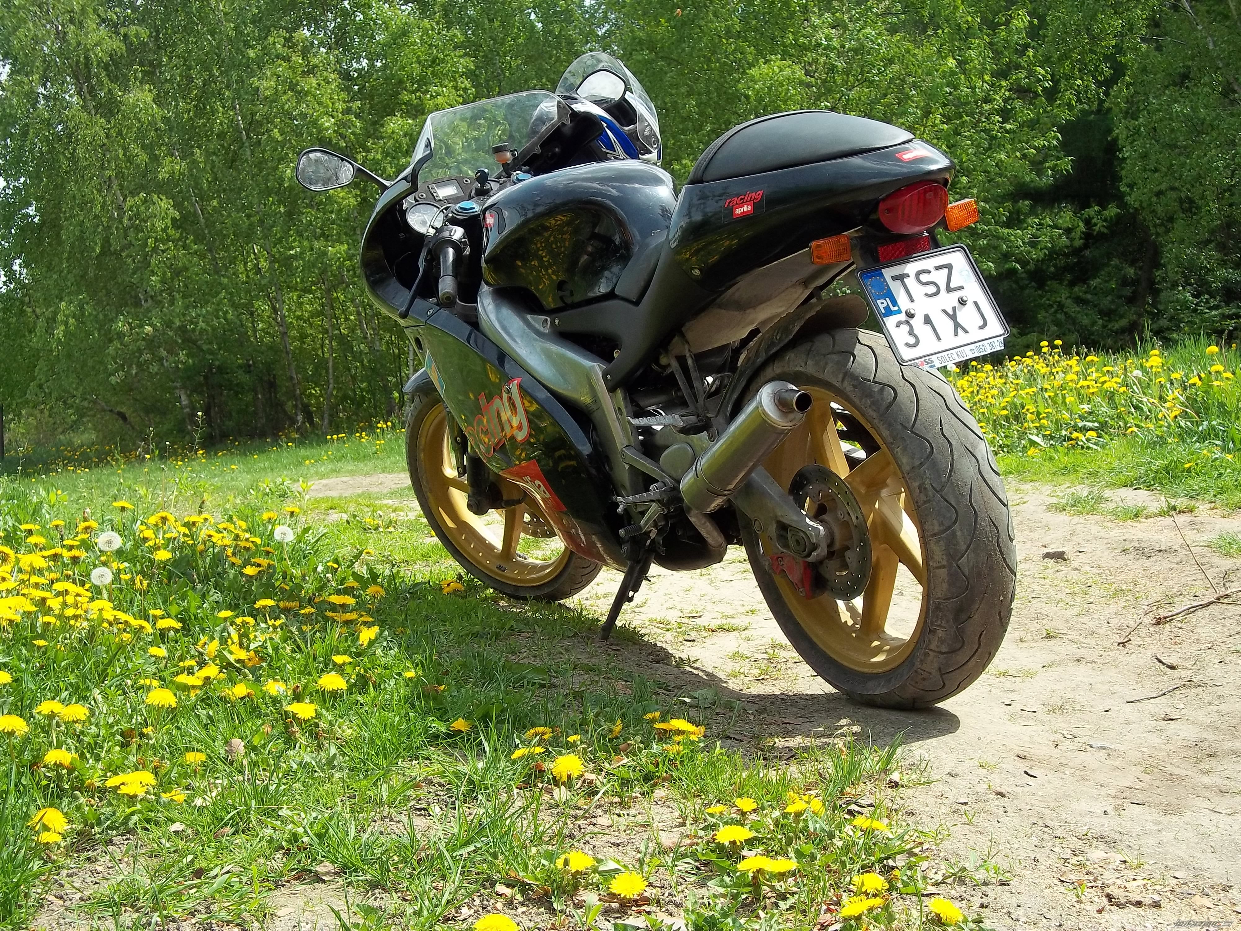 Photo 2206893