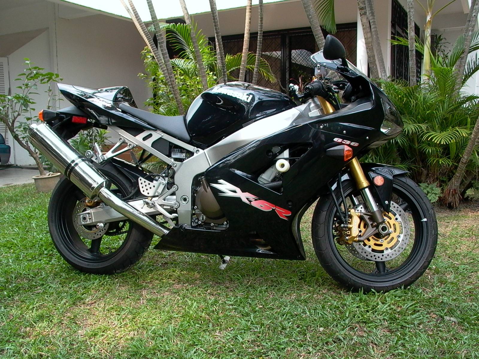 Photo 220698