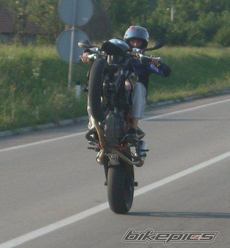 Photo 2207234