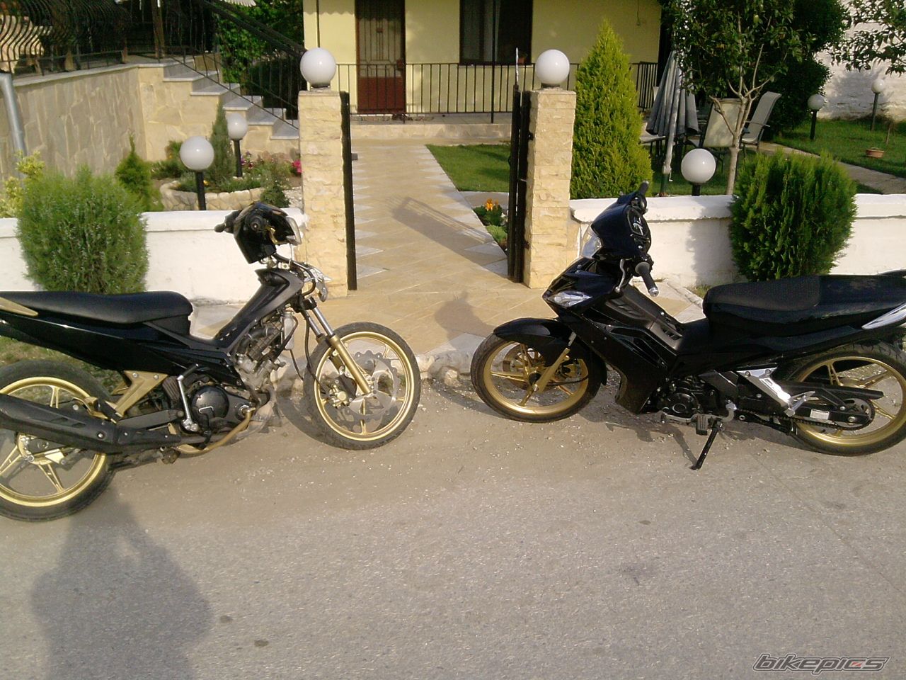 Photo 2207254