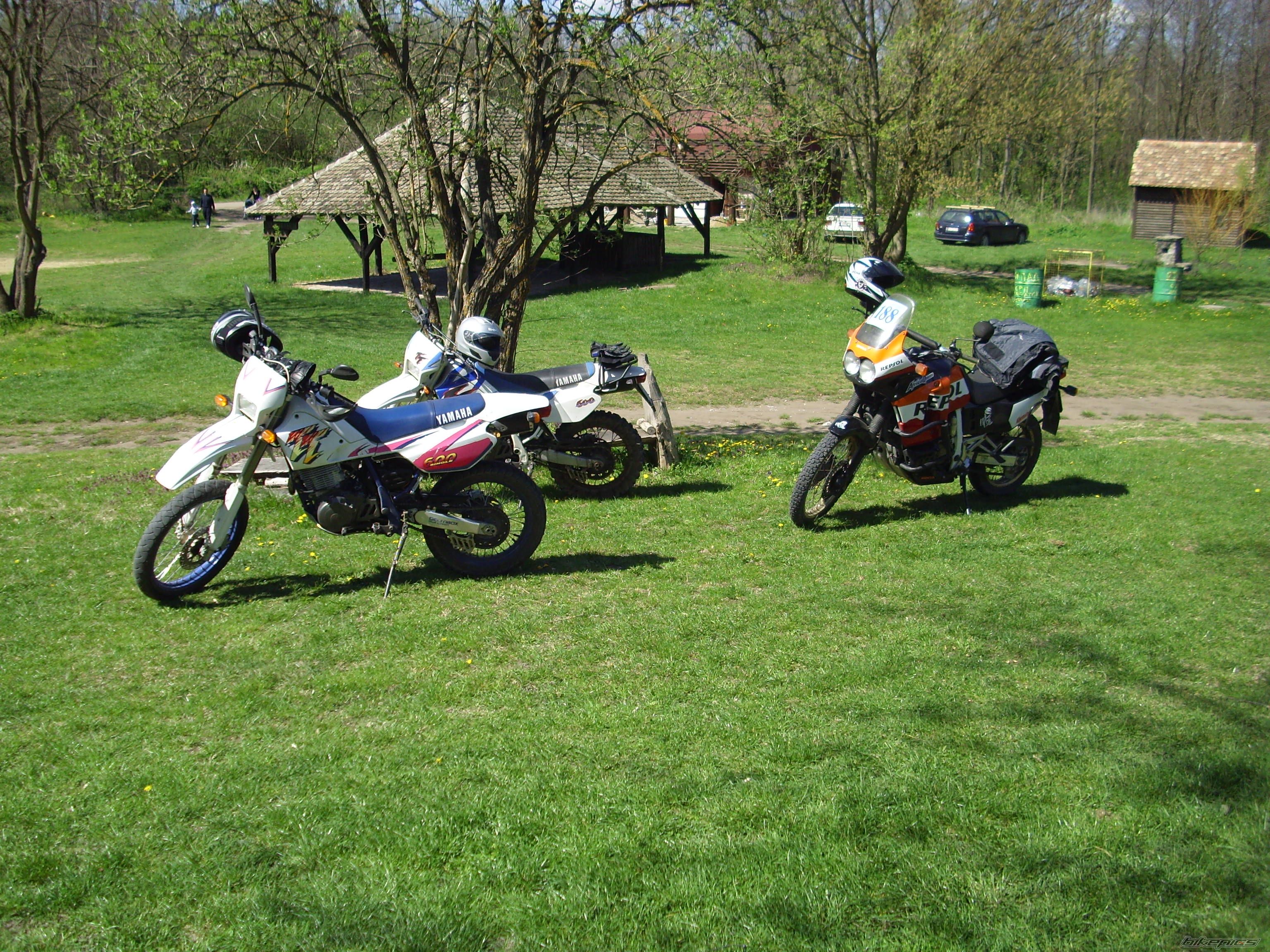 Photo 2207310