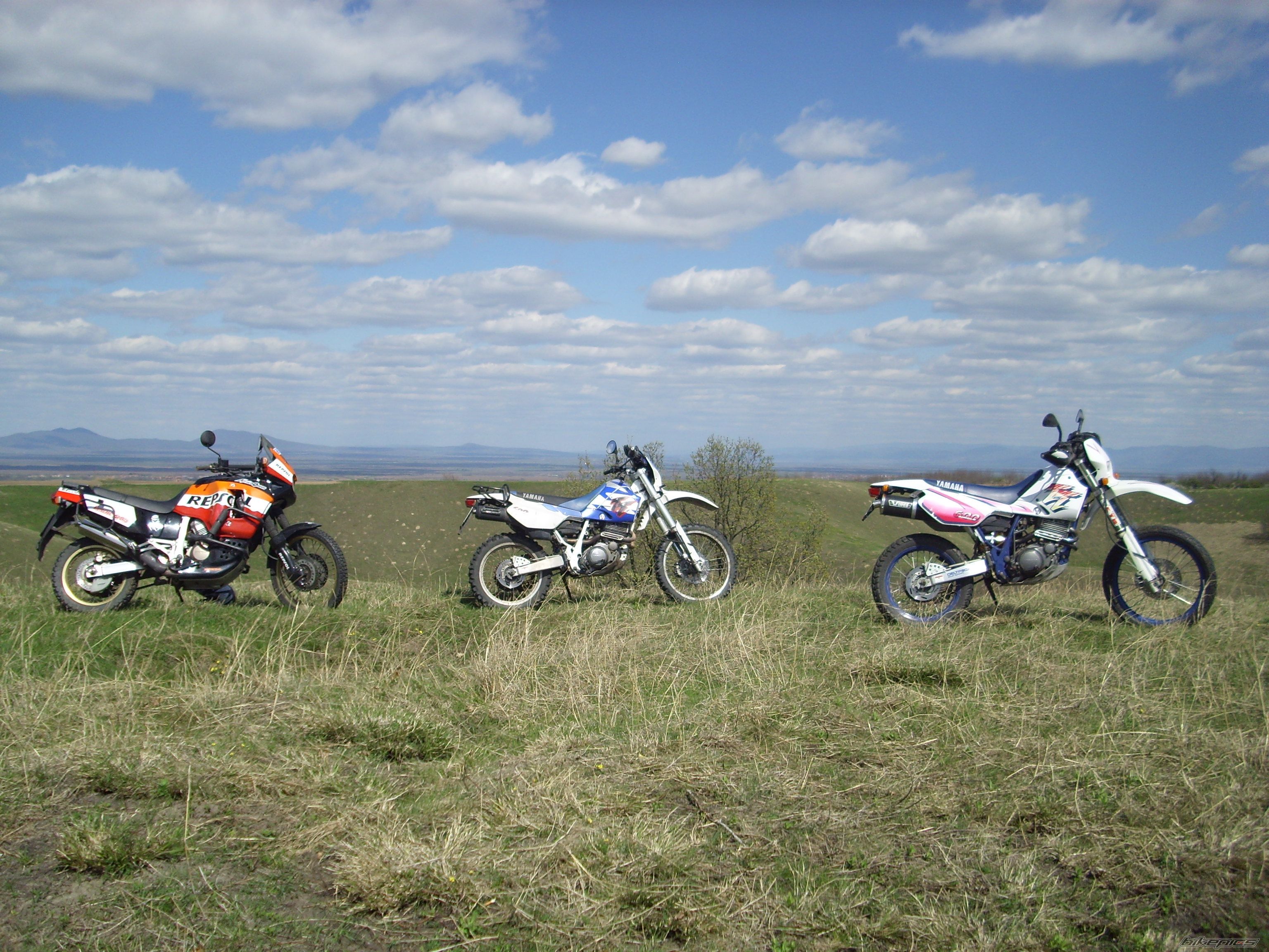 Photo 2207312
