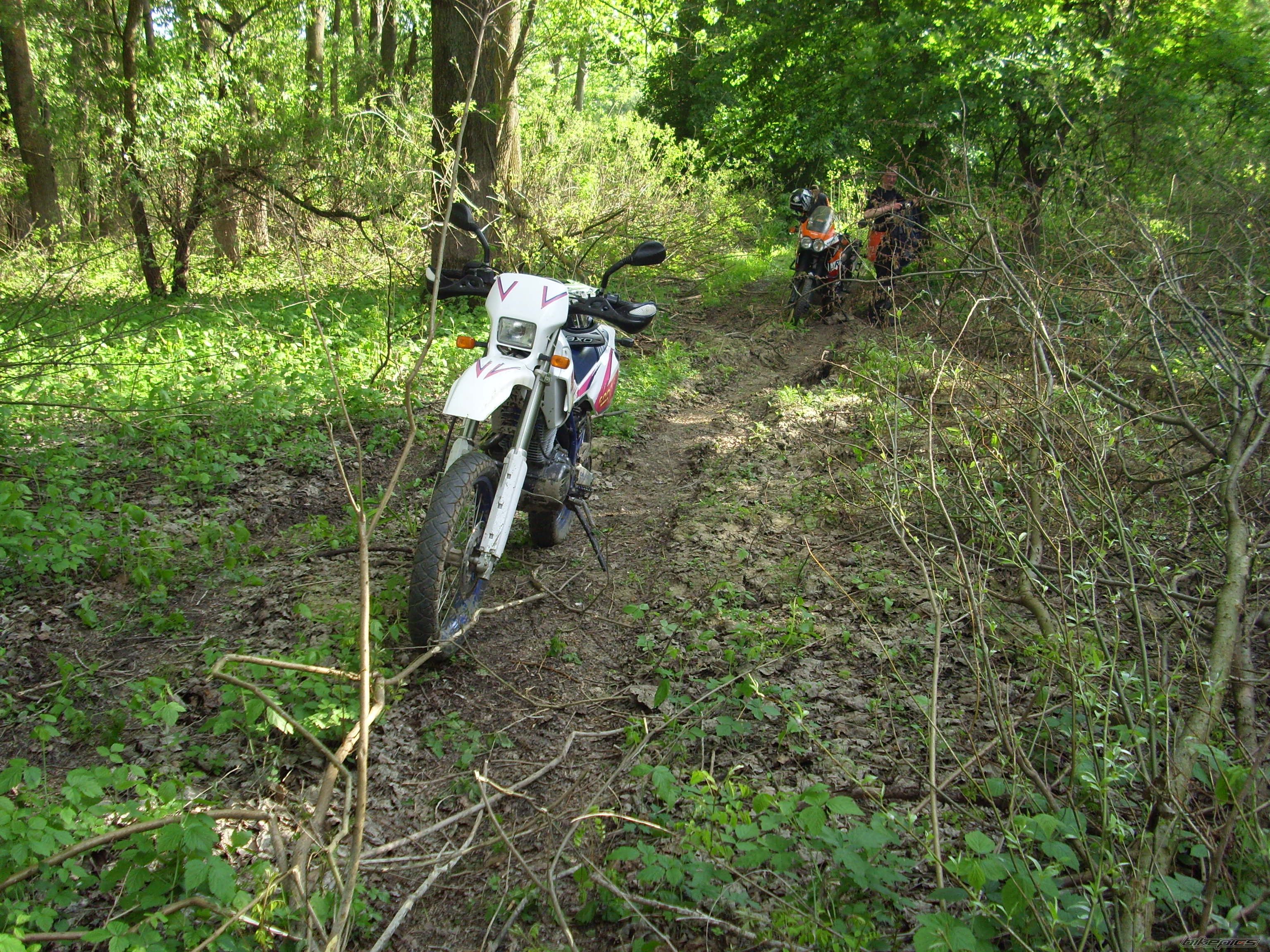 Photo 2207316