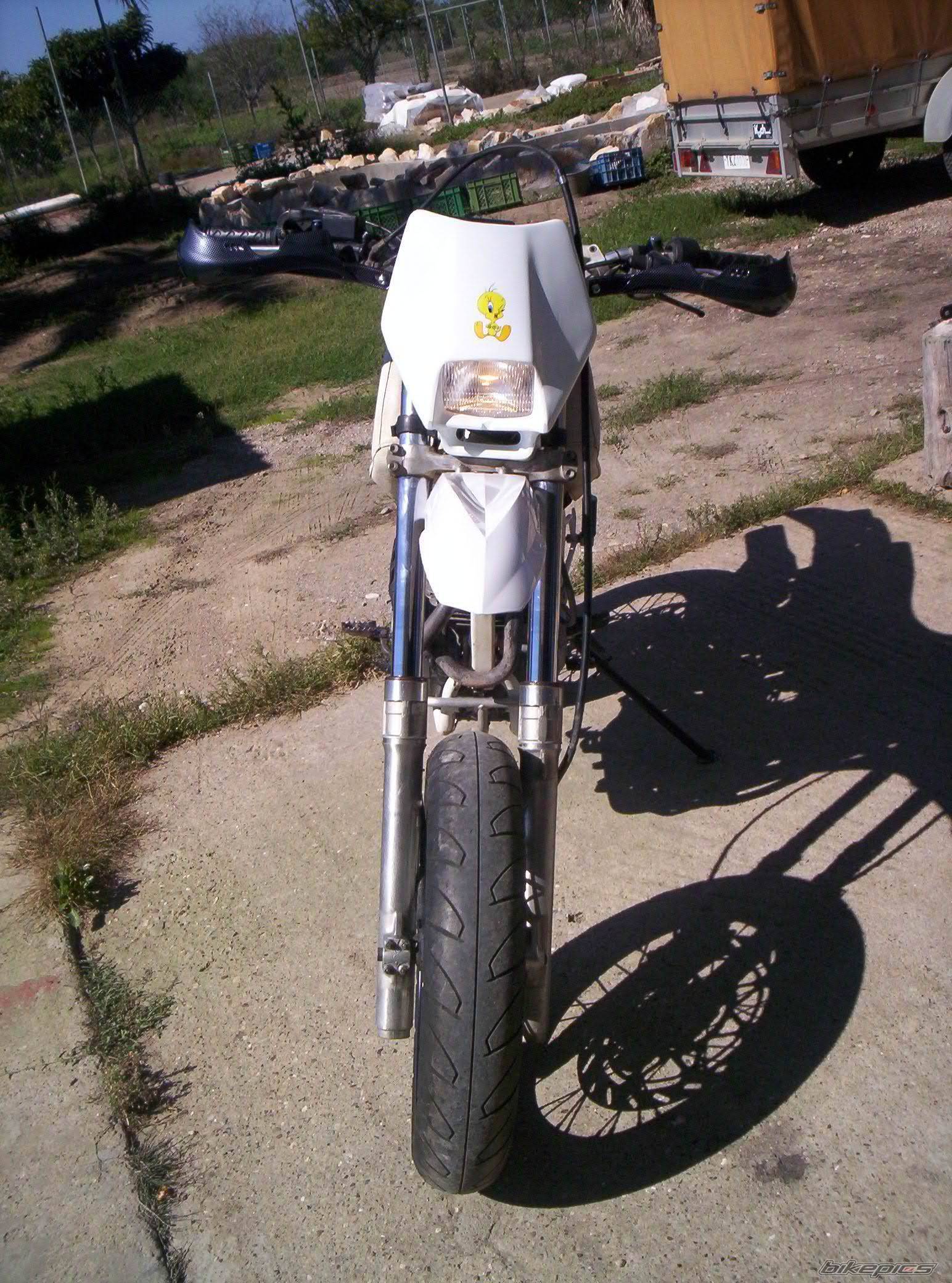 Photo 220742