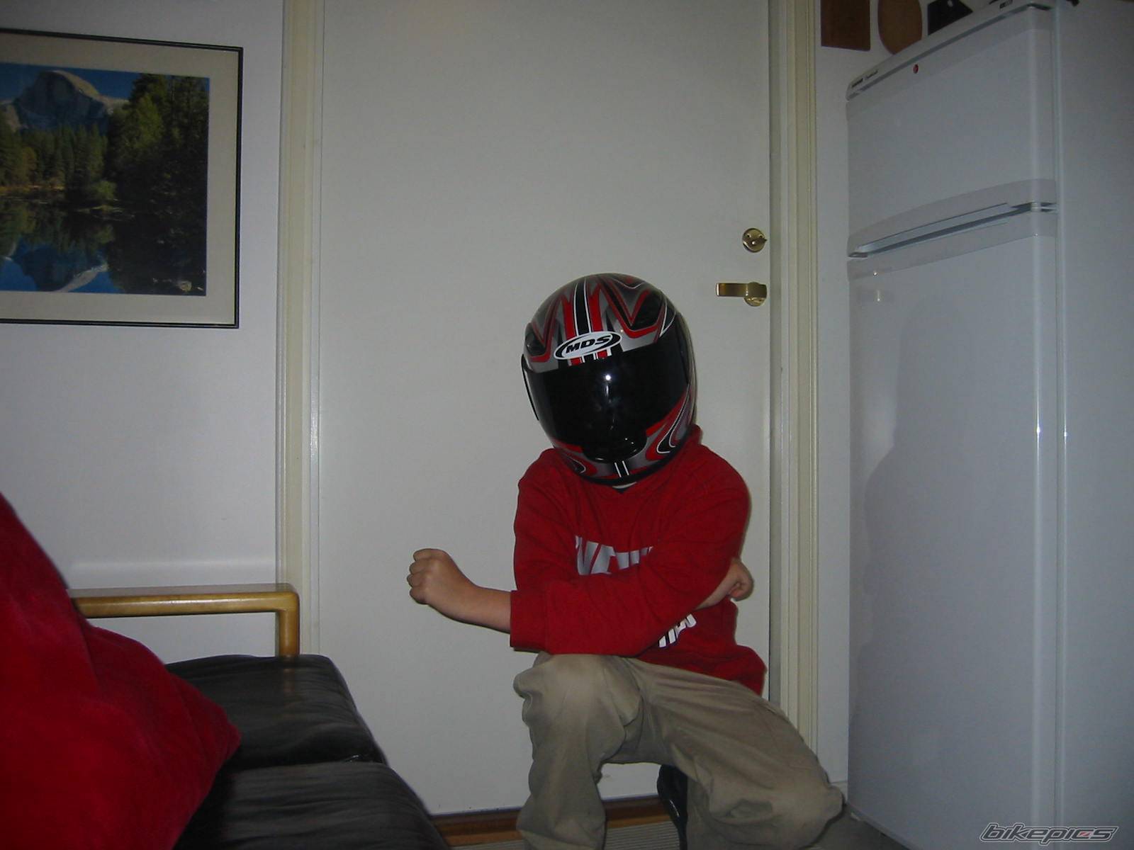 Photo 220750