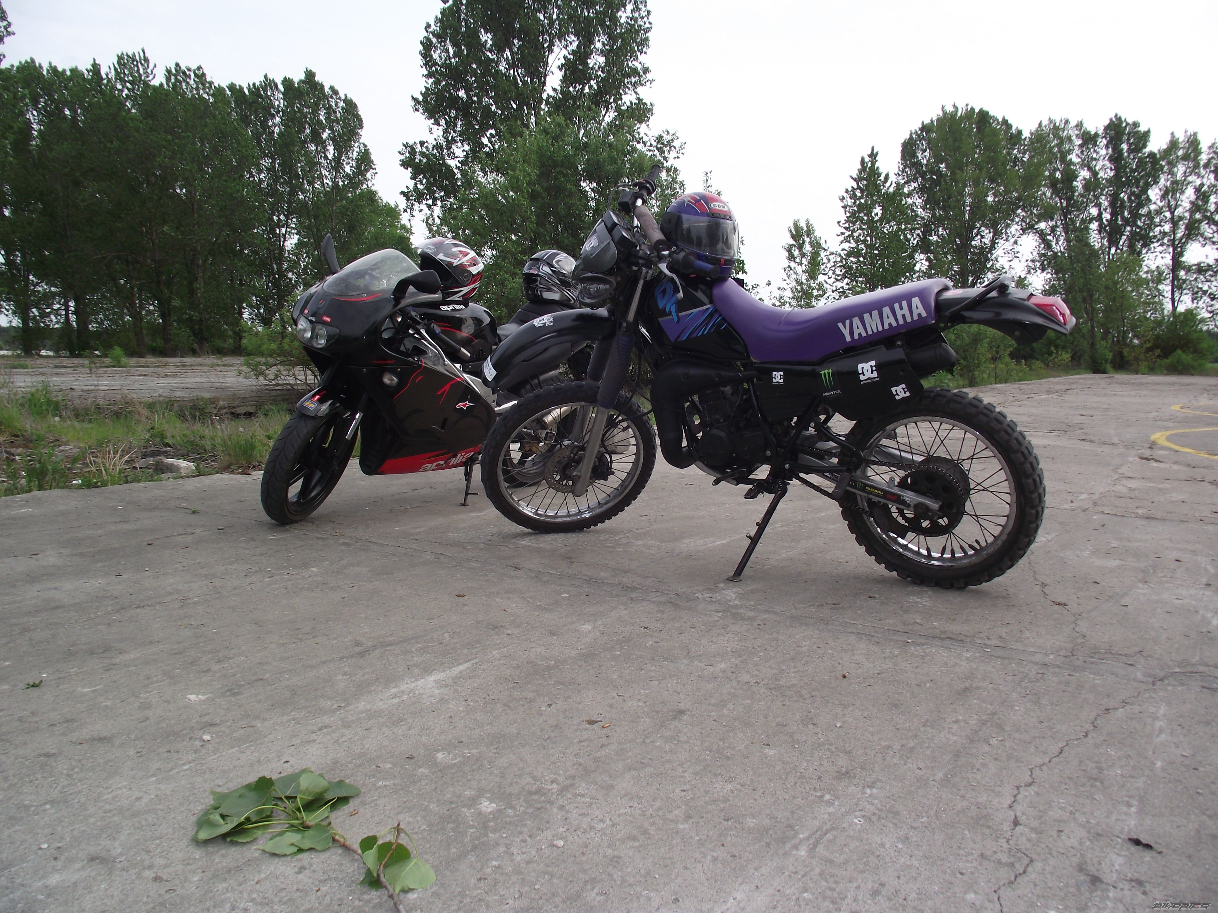 Photo 2207616