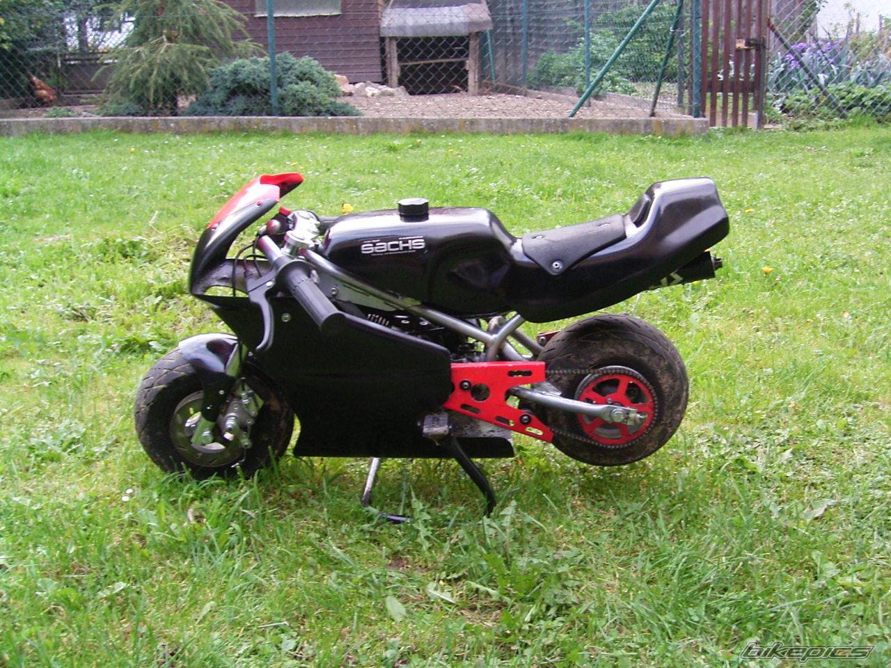 Photo 220762