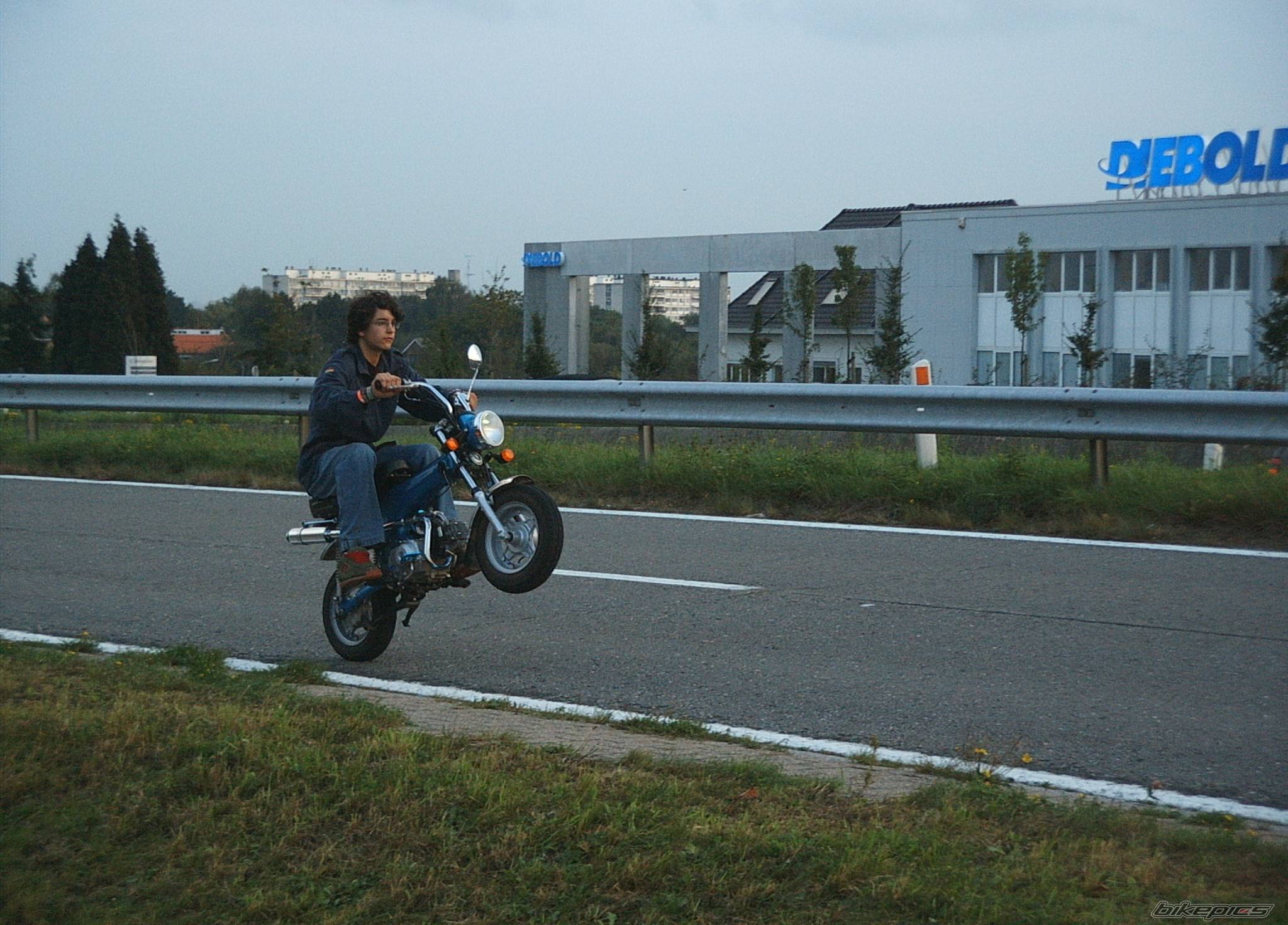 Photo 220764