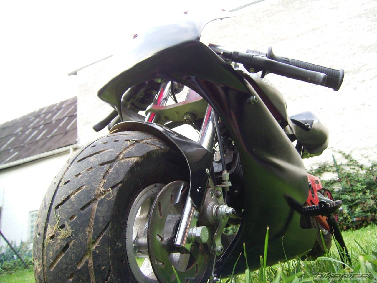 Photo 220765