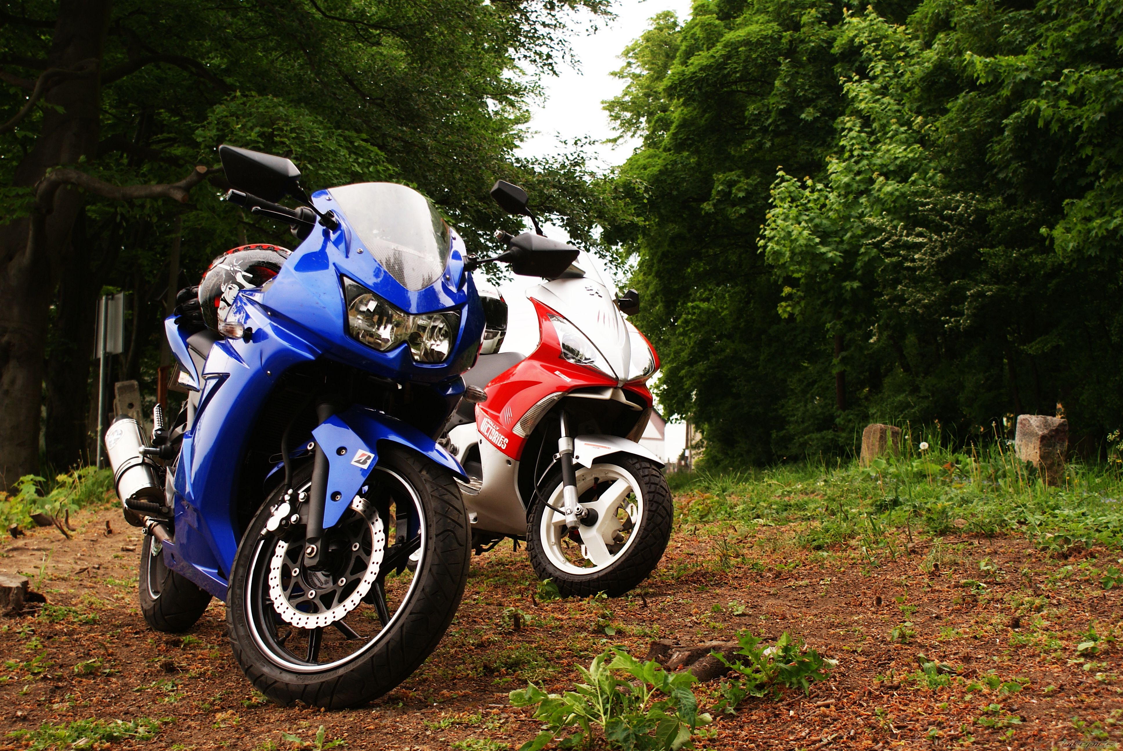Photo 2207692