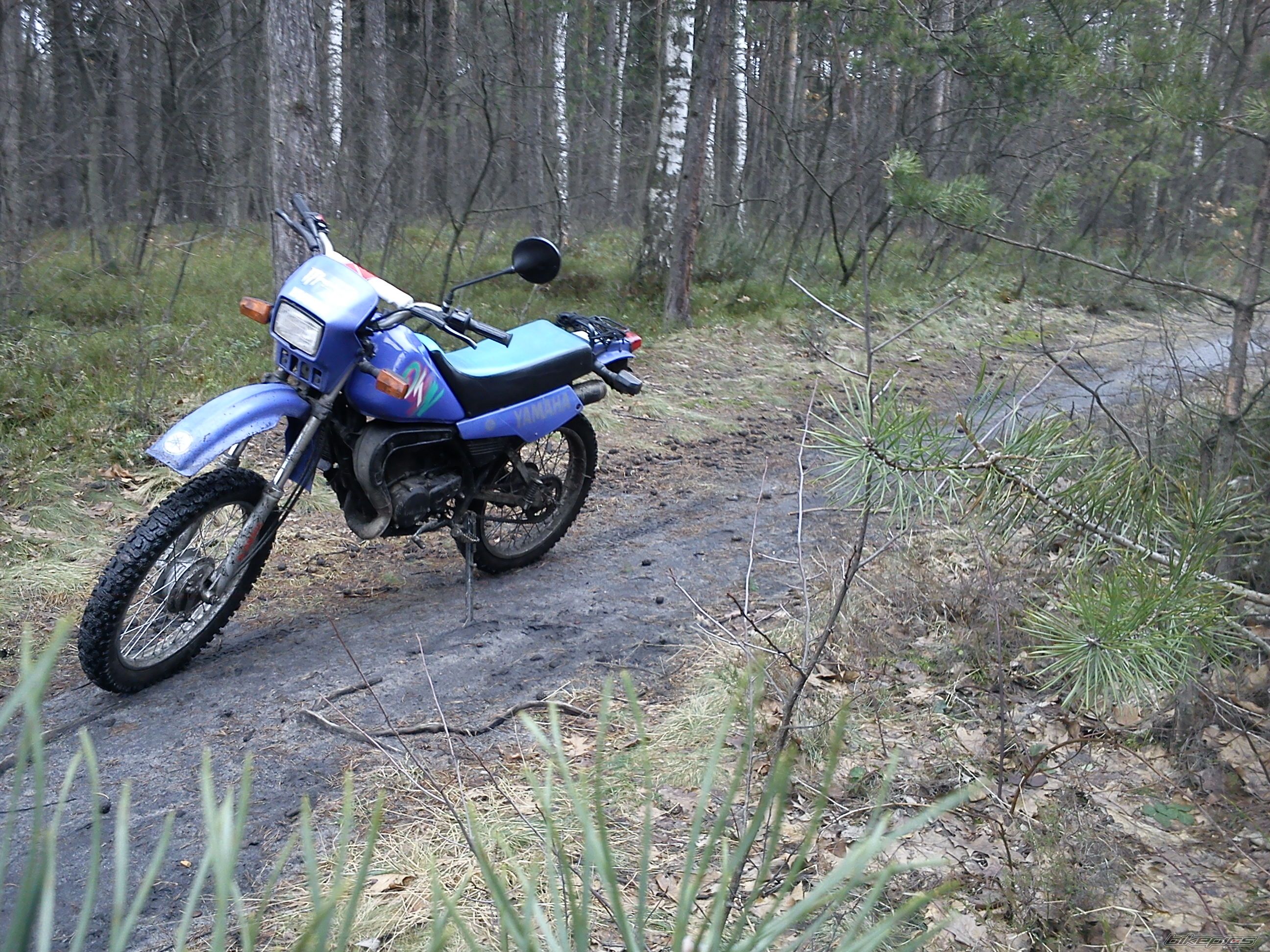 Photo 2207792