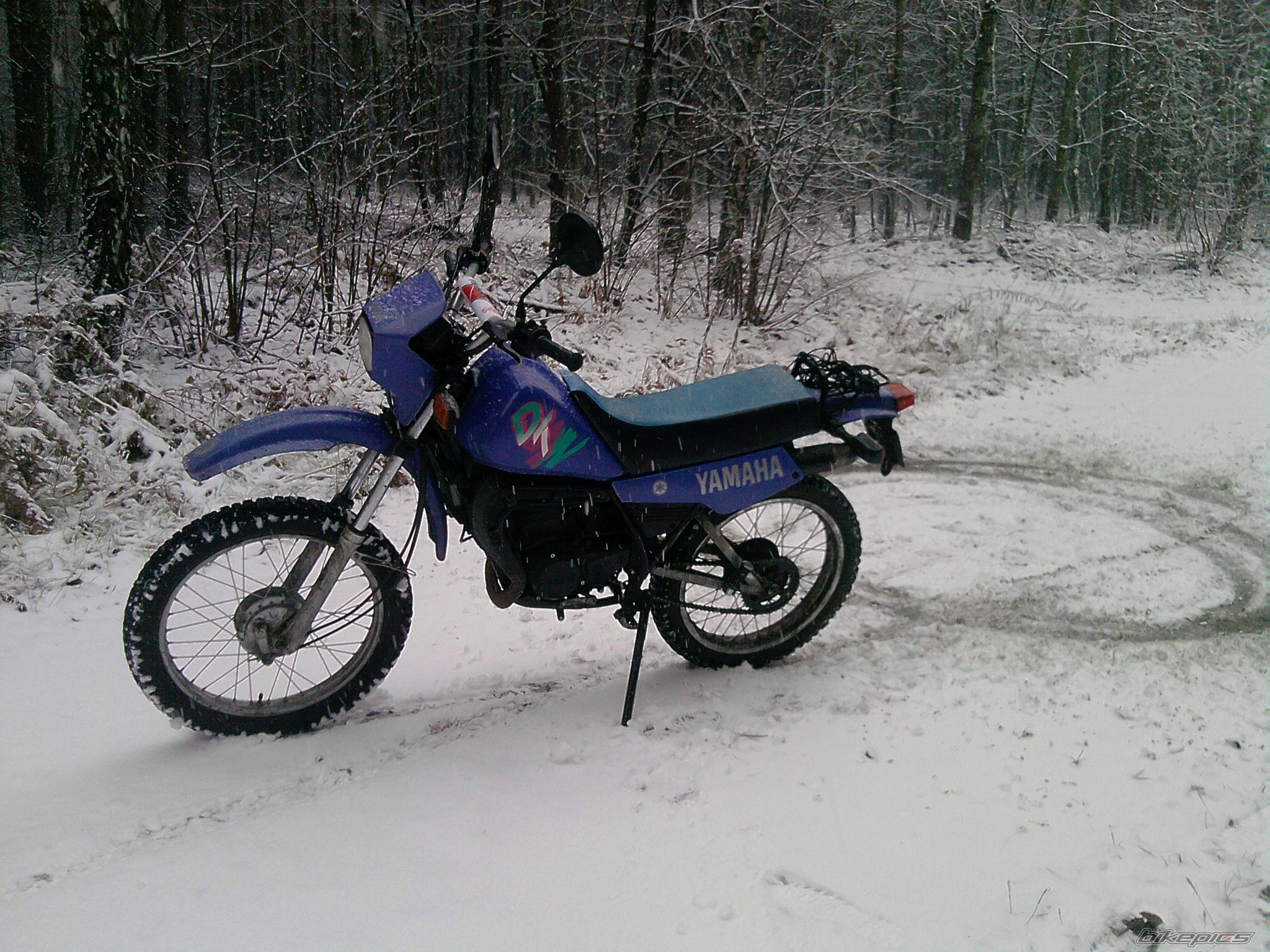 Photo 2207793