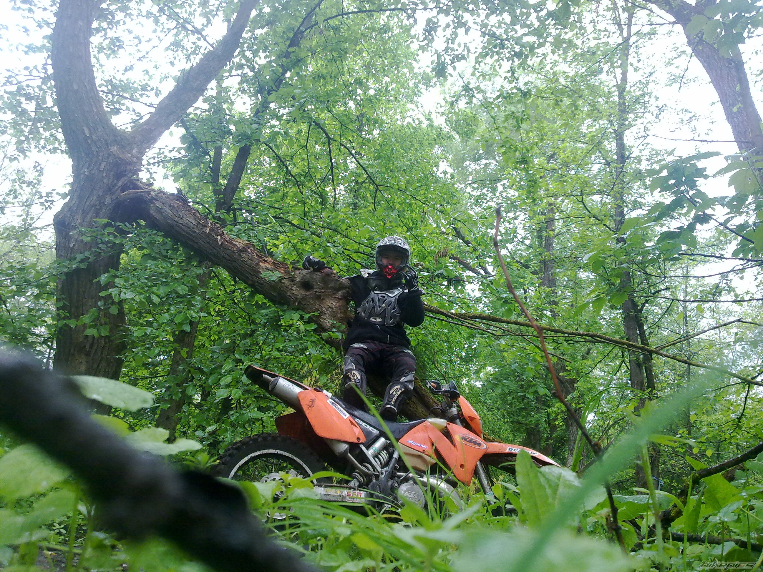 Photo 2207879