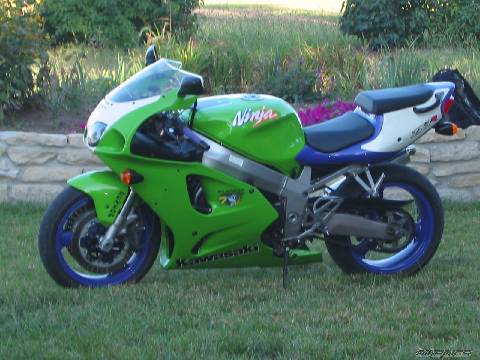Photo 220788