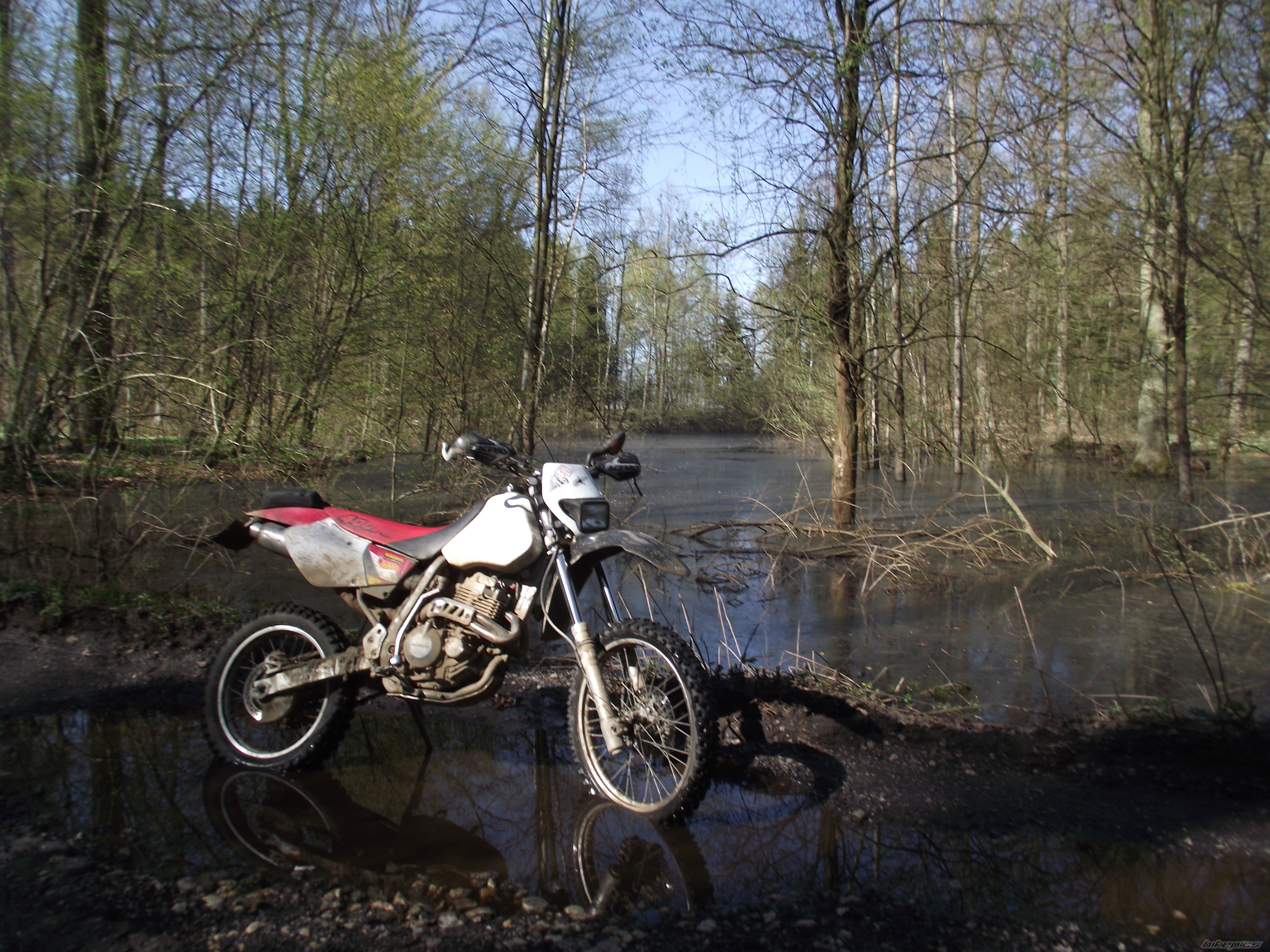 Photo 2208068