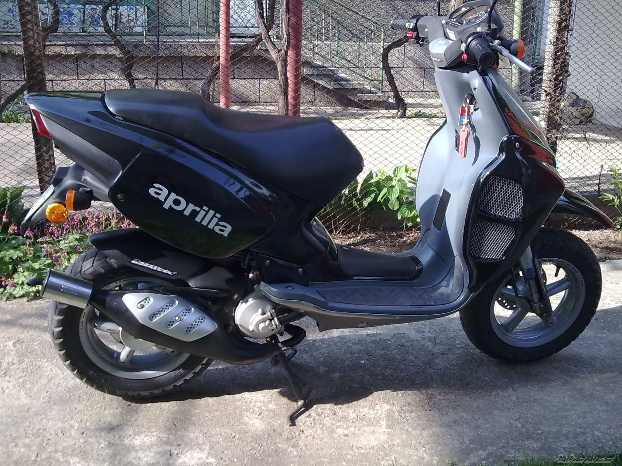 Photo 2208307