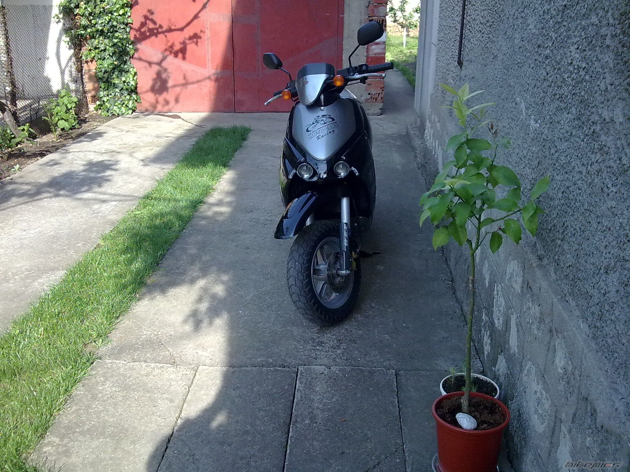Photo 2208321