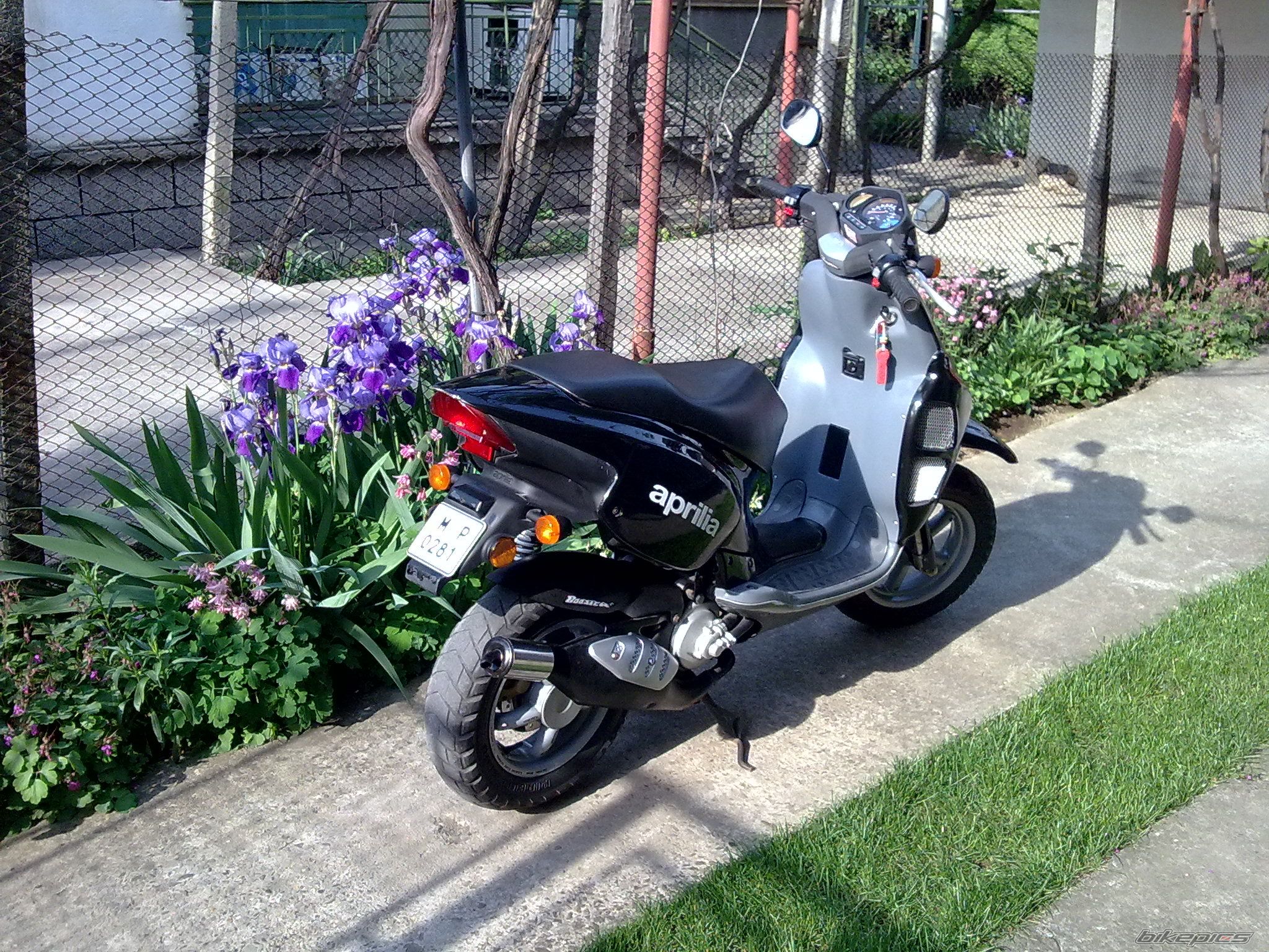 Photo 2208327