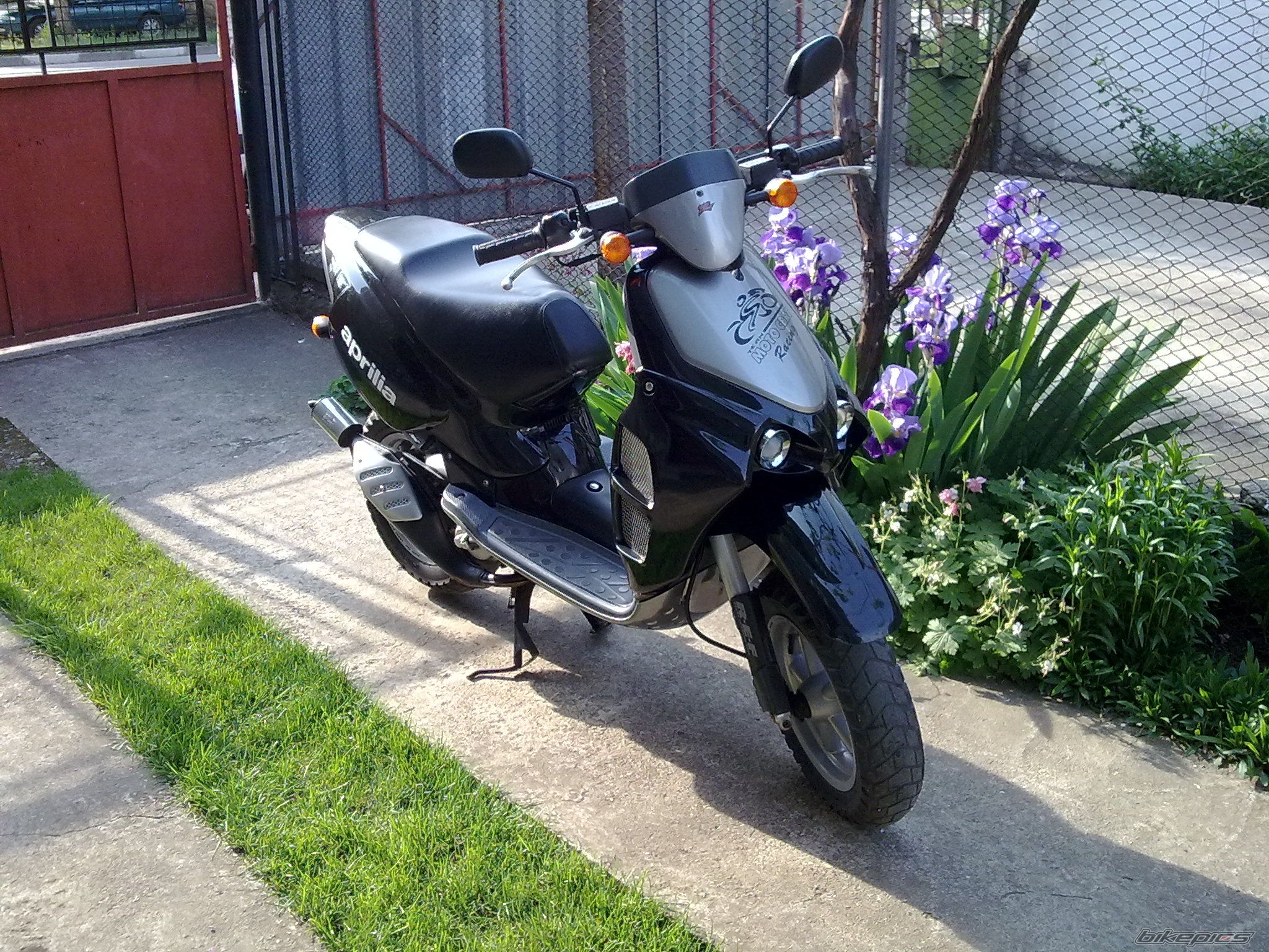 Photo 2208328