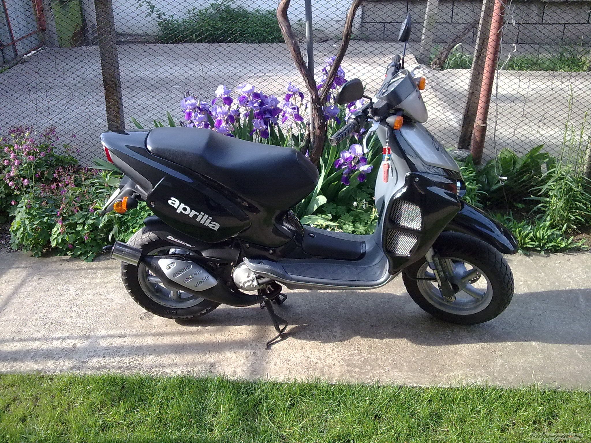 Photo 2208332