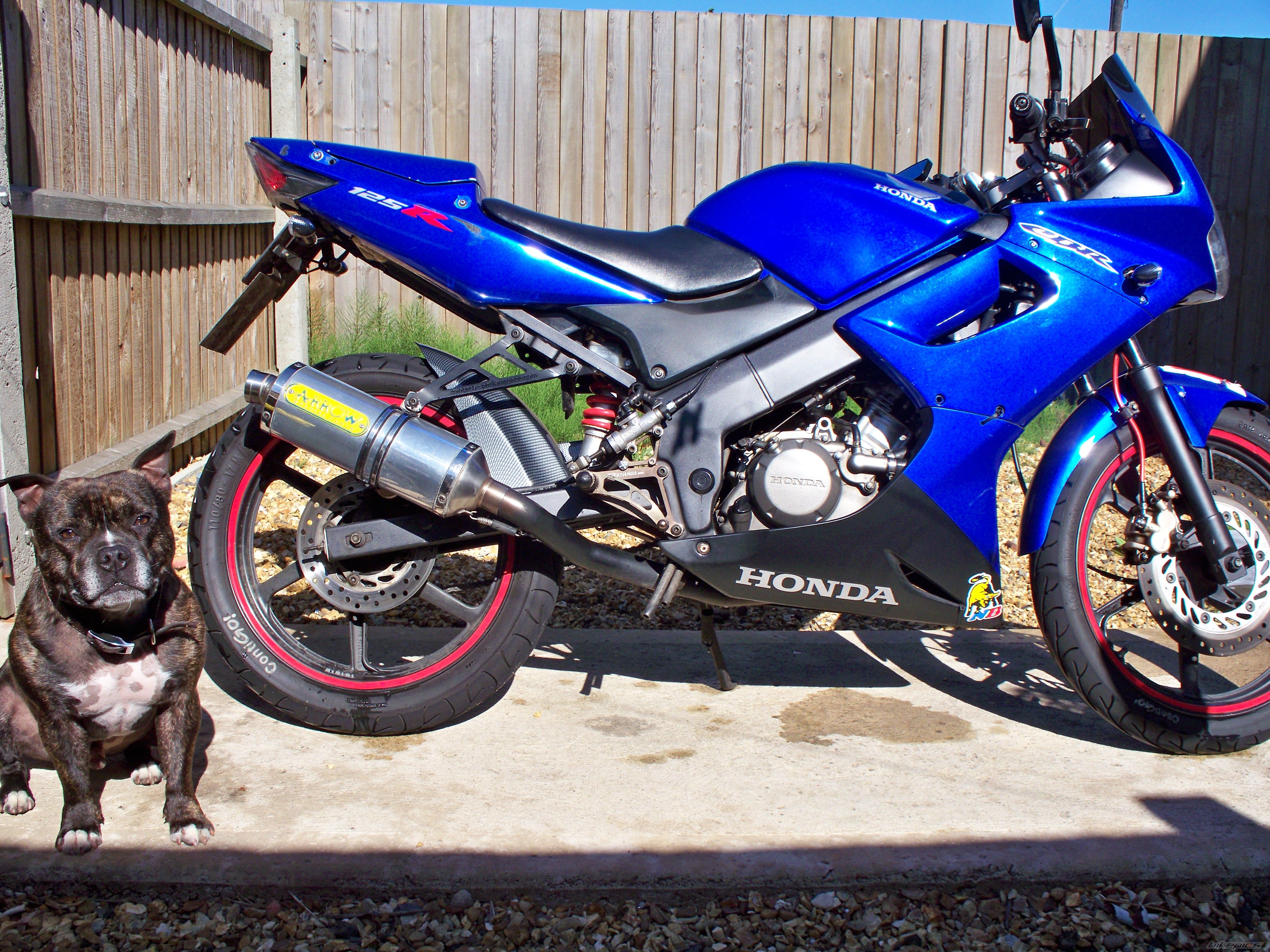 Bike Photo 2208472