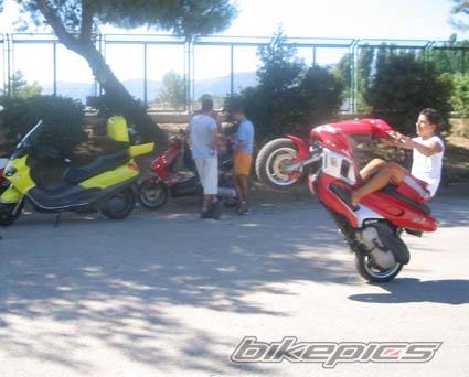 Photo 220866