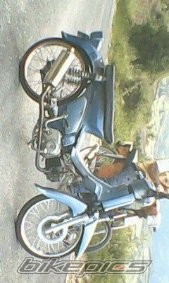 Photo 2208723