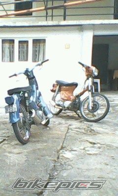 Photo 2208734