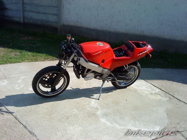 Photo 2208788