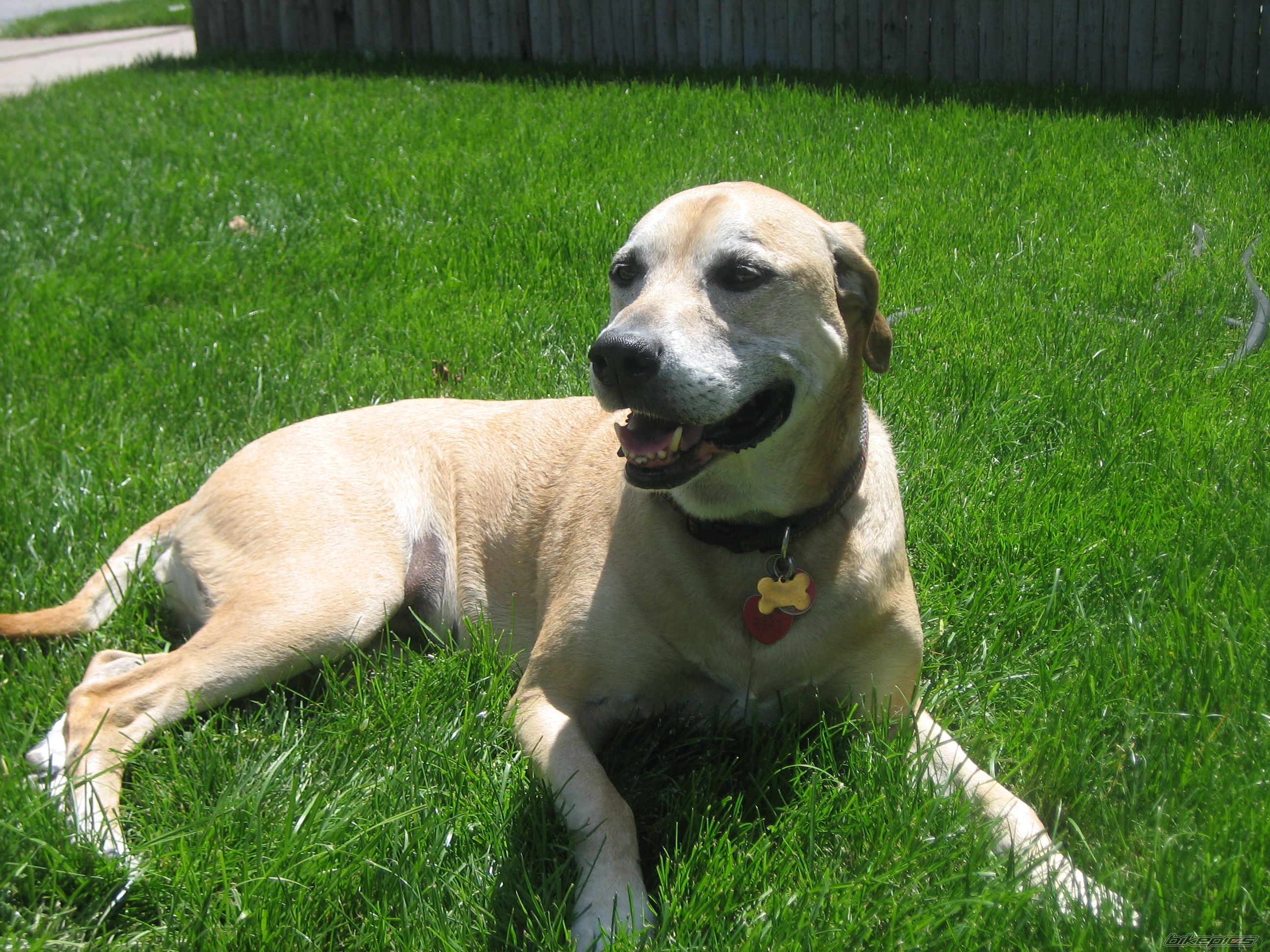 Photo 2208885